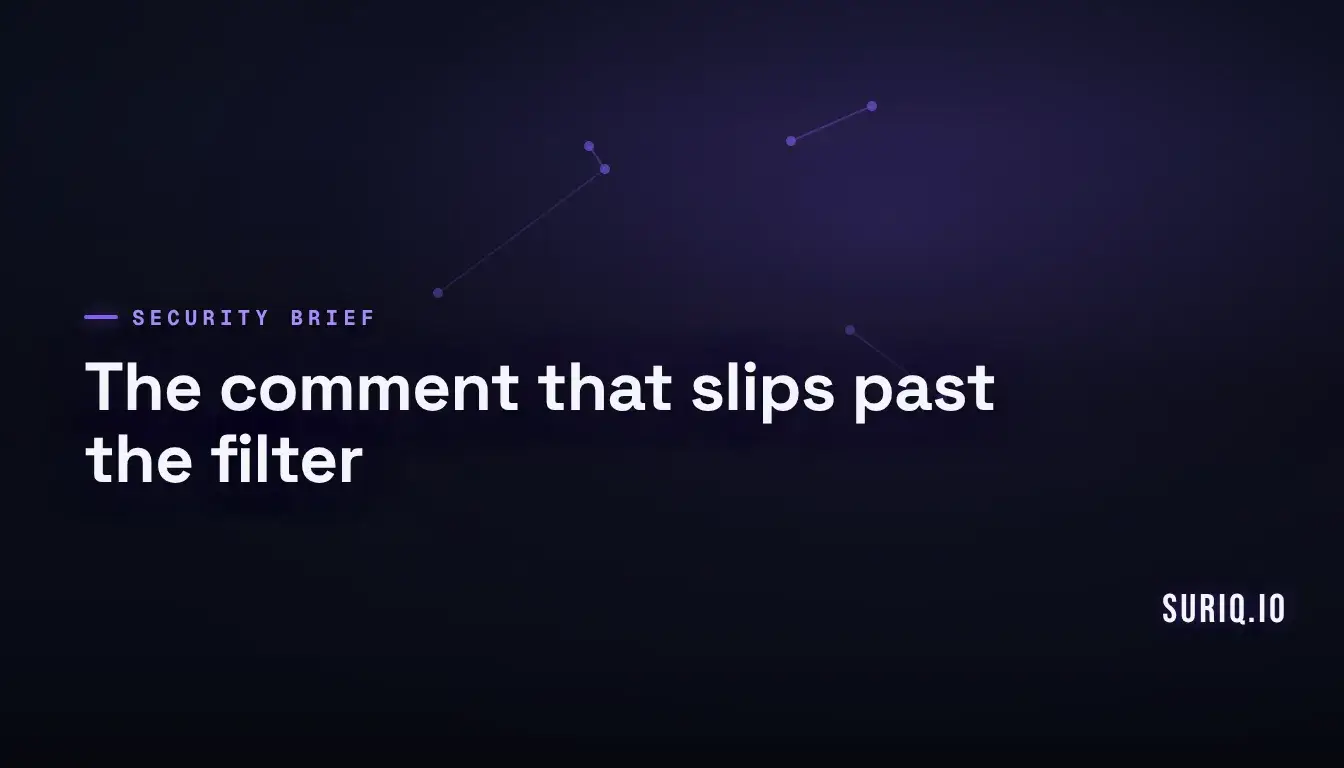 Paper comment note slipping through a mesh filter, LiteSpeed Cache stored XSS flaw