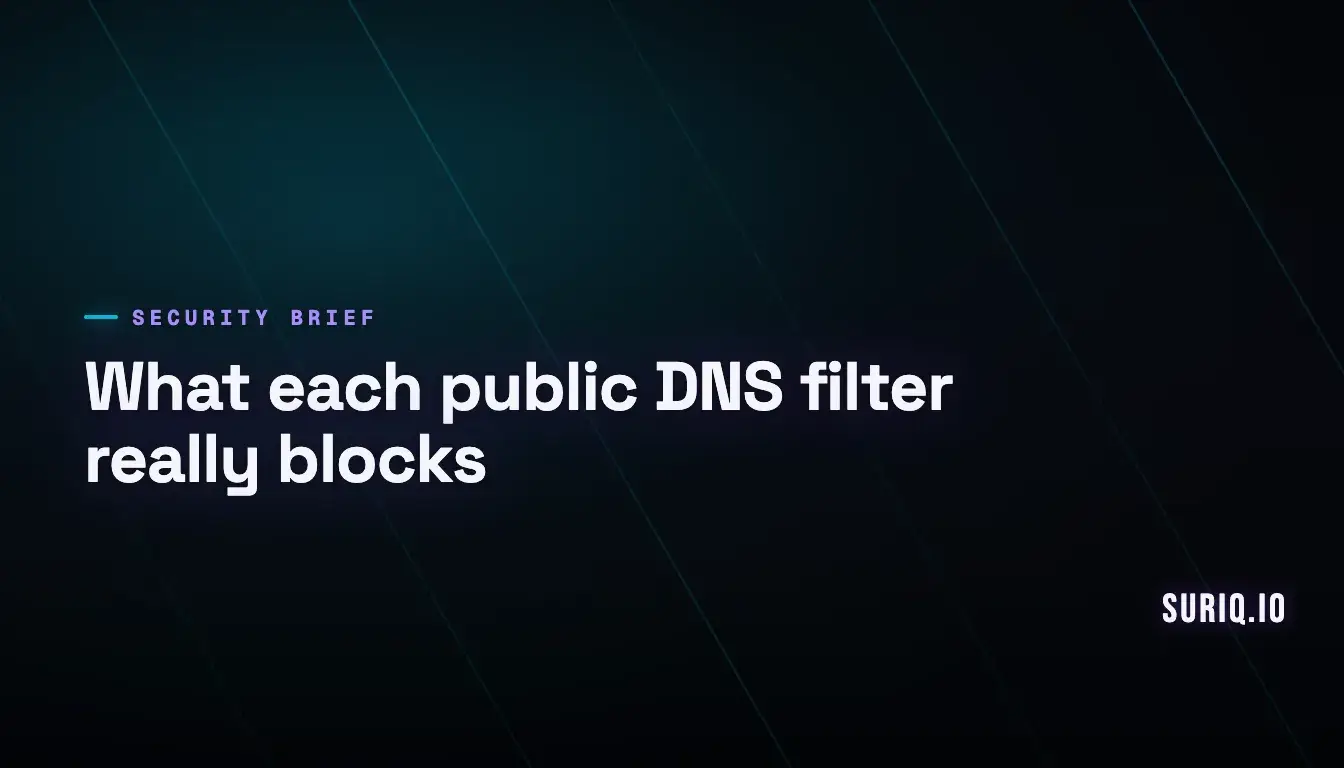 Diagram of DNS routes with filtered branches cut before resolving