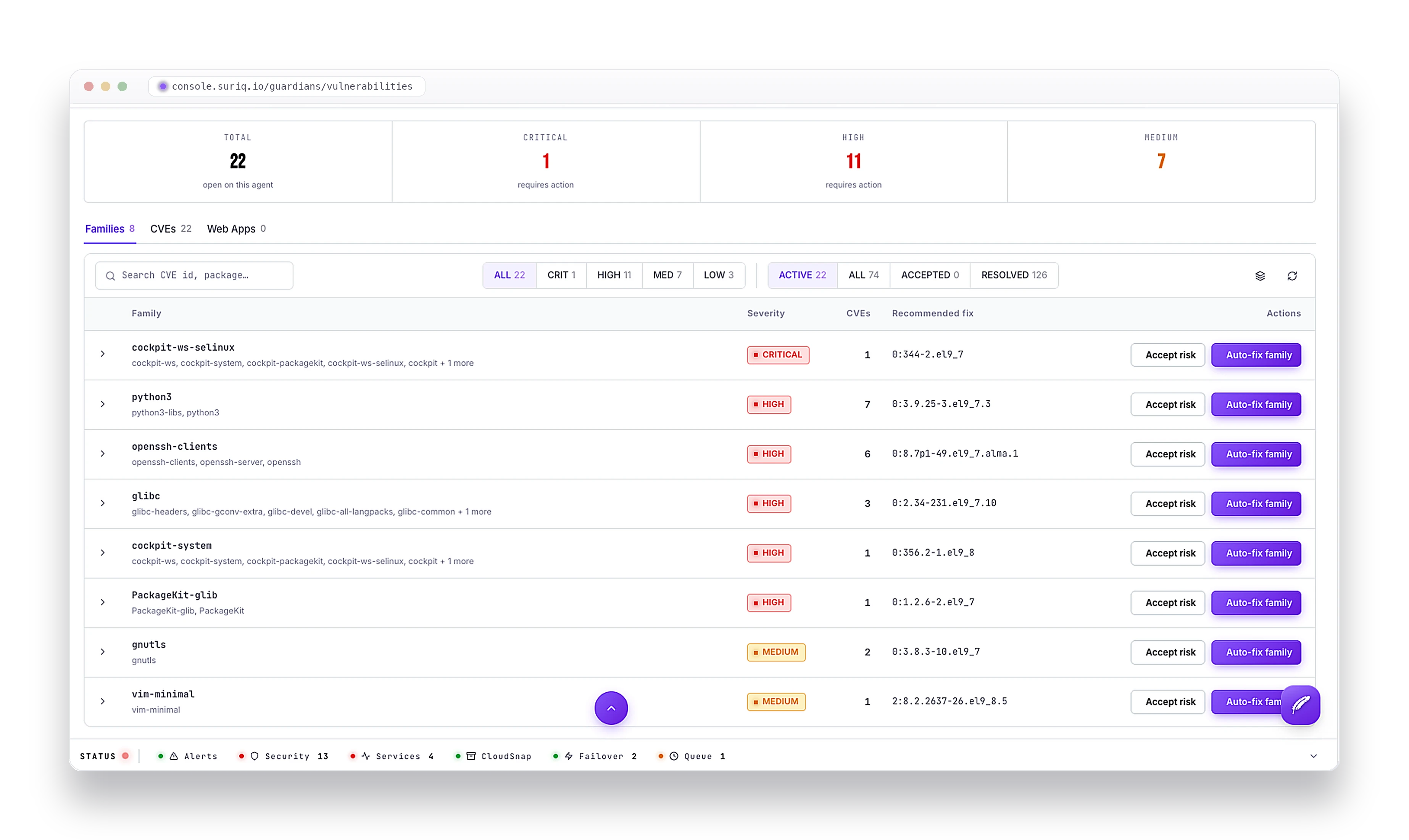 The Guardians vulnerabilities view grouping CVEs by package family with severity and counts.