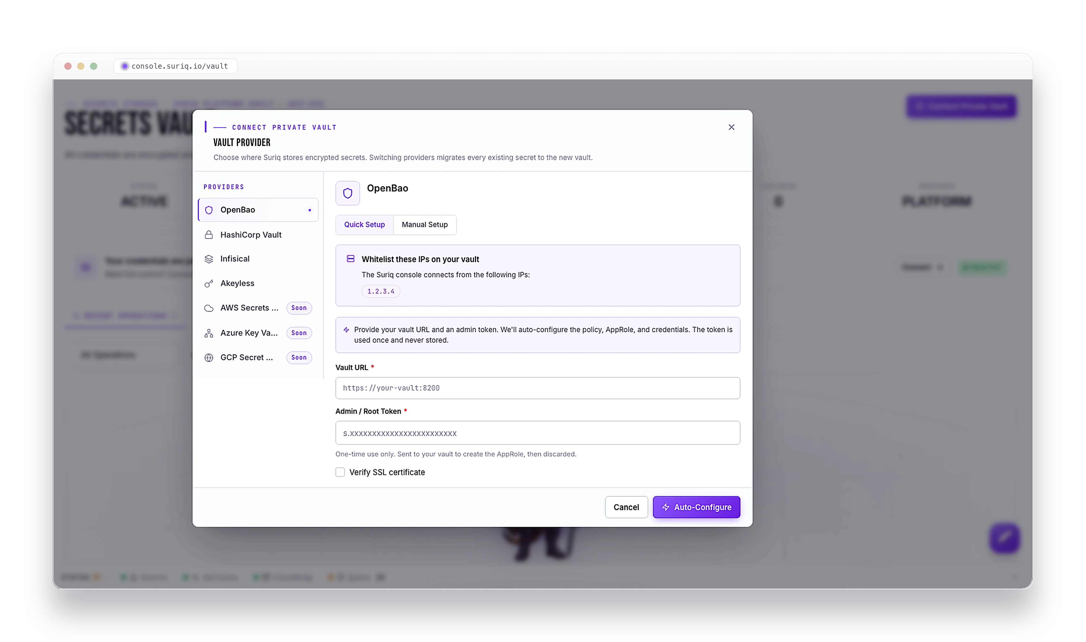 The connect-private-vault screen listing OpenBao, HashiCorp Vault, Infisical, and Akeyless, with a quick-setup auto-configure form.